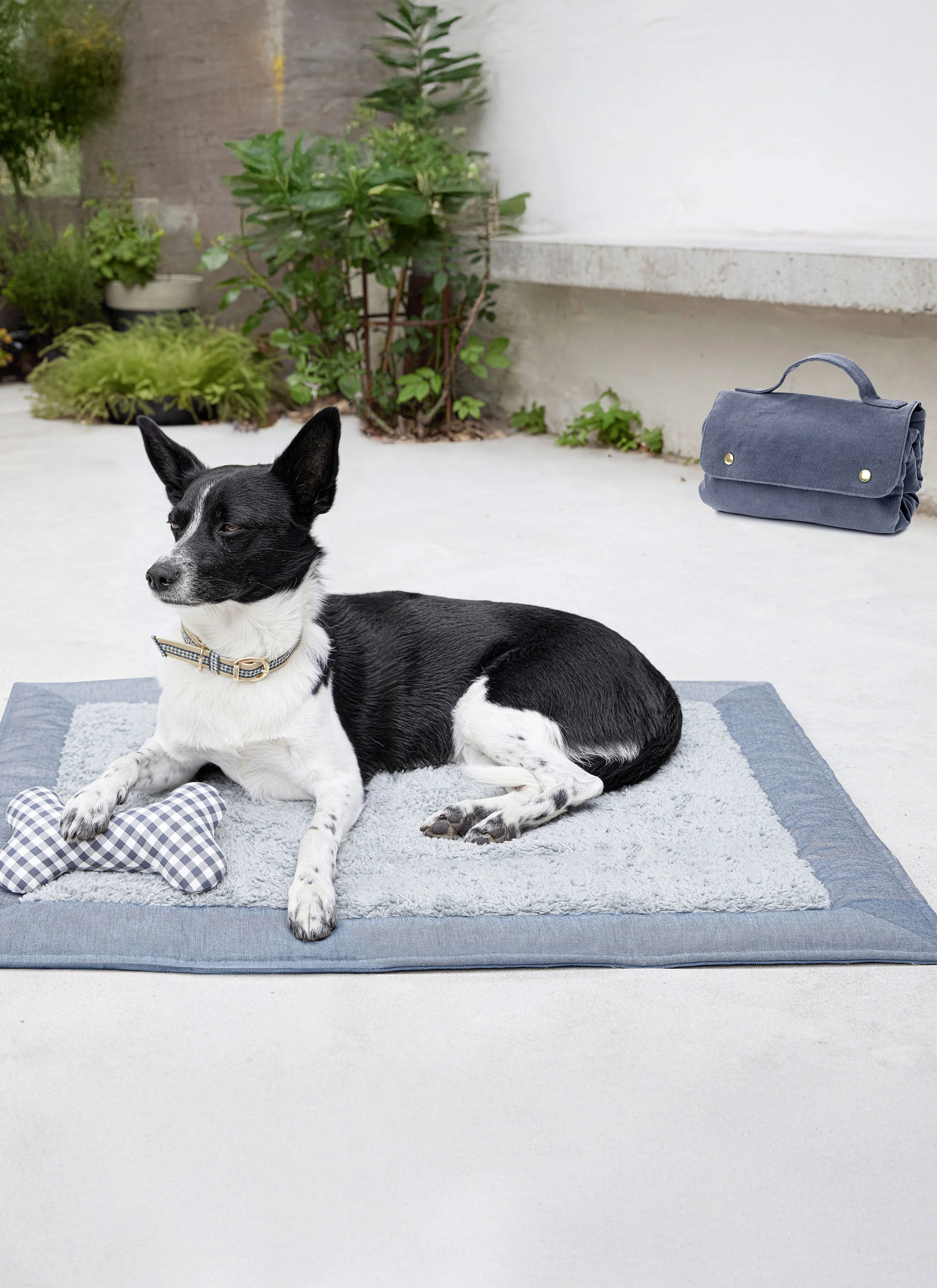 Burda Dog Accessories 5702 - Image 4