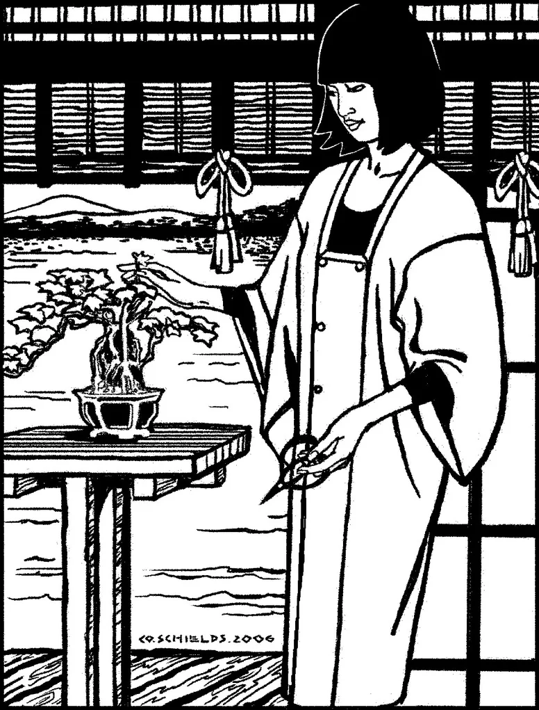 Folkwear 143 Japanese Michiyuki - Image 6