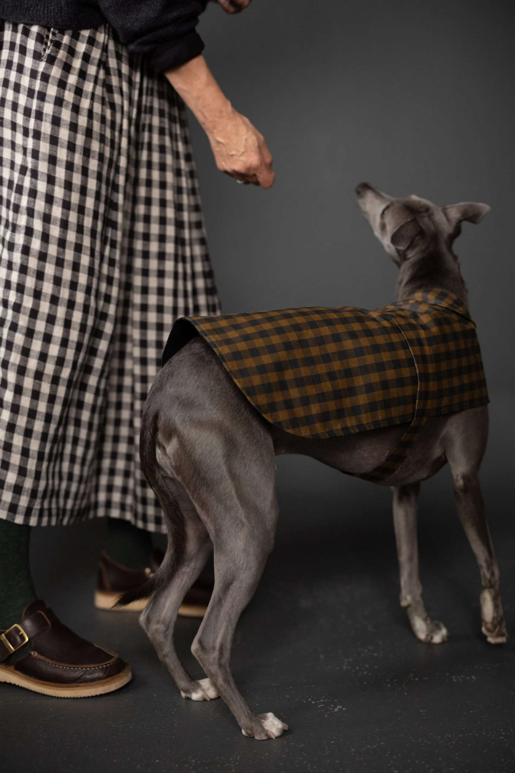 Merchant & Mills Barka Dog Coat - Image 3