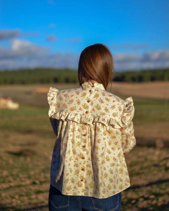 Pauline Alice Sorolla Dress and Blouse - Image 4