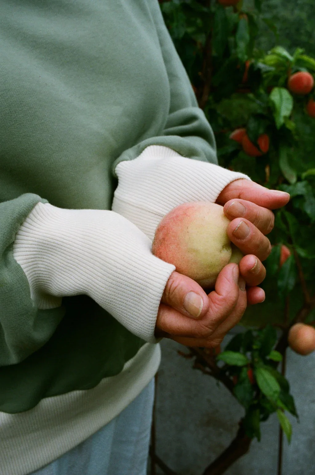 Modern Sewing Co. Rib Sweater - Image 7